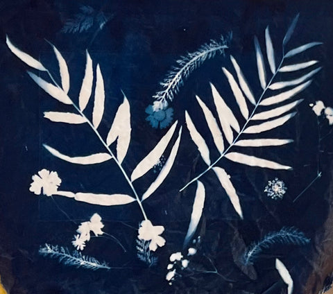 Botanical Sun Printing